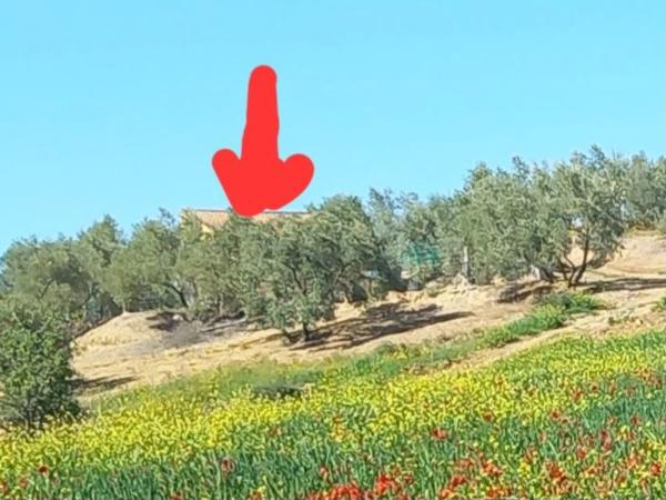 Terreno en Lugar Arroyo Coche, 33