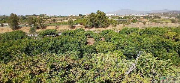 Terreno en Barrio Cancelada