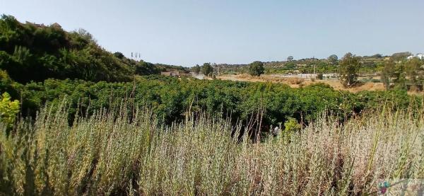 Terreno en Barrio Cancelada