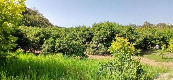 Terreno en Barrio Cancelada
