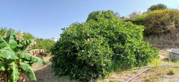 Terreno en Barrio Cancelada