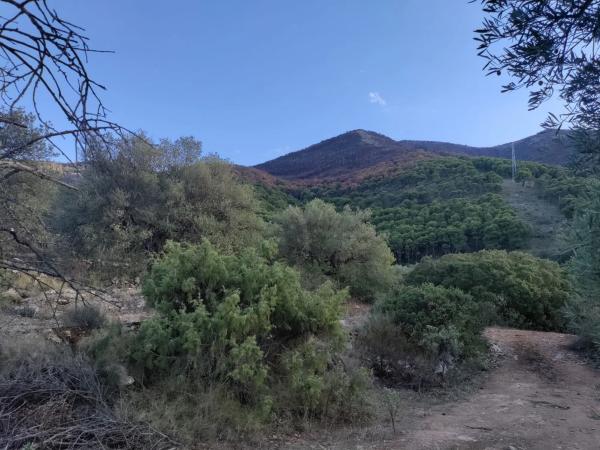Terreno en carril de las chicharras s/n diseminado