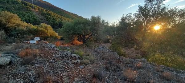 Terreno en carril de las chicharras s/n diseminado