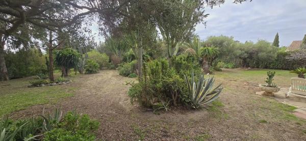 Terreno en calle del Rubí