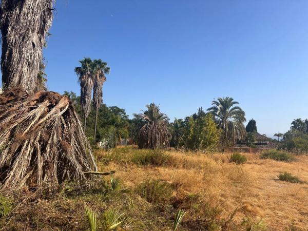 Terreno en calle Alora