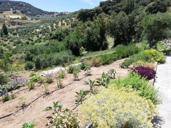 Terreno en Los Villalones s/n