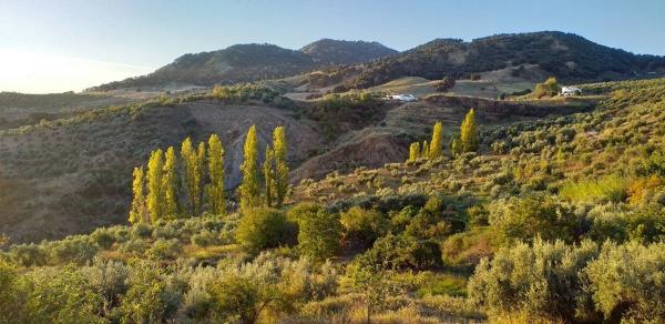 Terreno en Los Villalones s/n