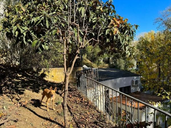 Terreno en Diseminado Poligono 06, 10