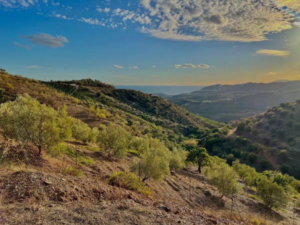 Terreno en Benagalbón