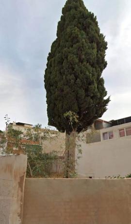 Terreno en calle Velarde