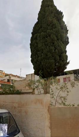 Terreno en calle Velarde