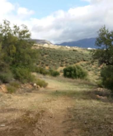 Terreno en calle Jr Jardines