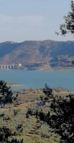 Terreno en calle Jr Jardines