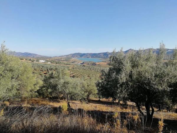 Terreno en calle Jr Jardines