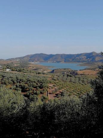 Terreno en calle Jr Jardines