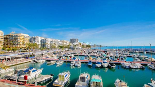 Terreno en avenida Conde Rudi