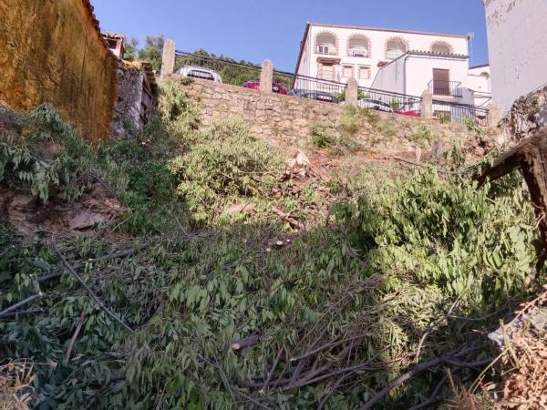 Terreno en calle Ronda, 25