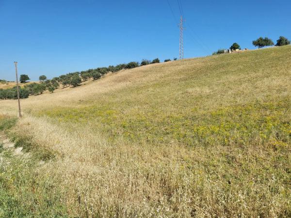 Terreno en torrealqueria s/n