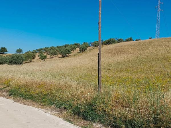 Terreno en torrealqueria s/n