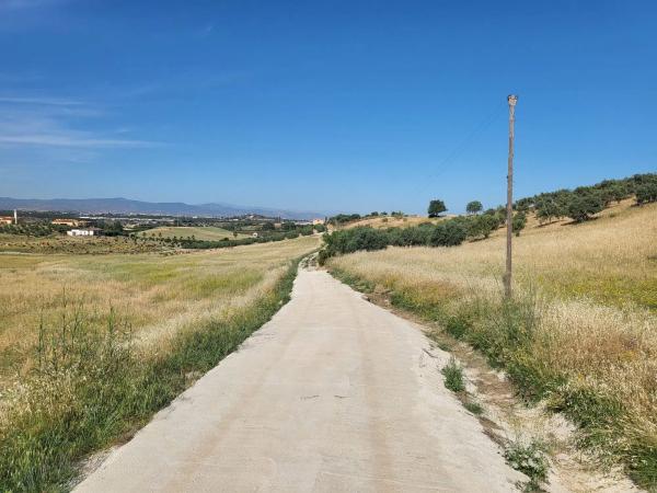 Terreno en torrealqueria s/n