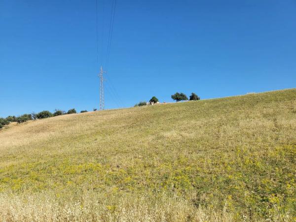 Terreno en torrealqueria s/n