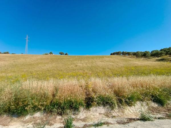 Terreno en torrealqueria s/n