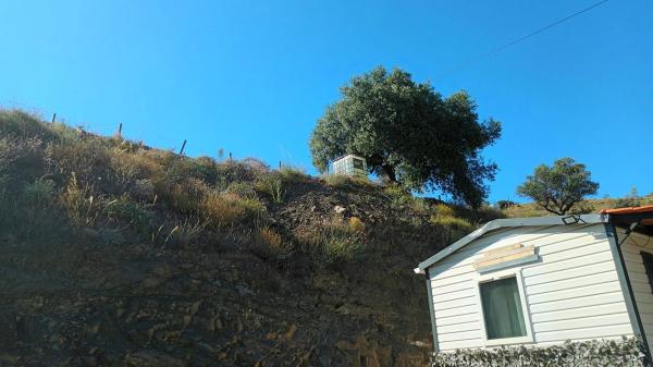 Terreno en Partida Cardal, km 1