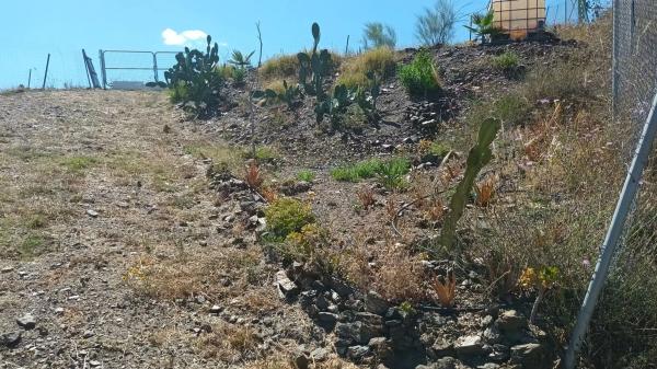 Terreno en Partida Cardal, km 1