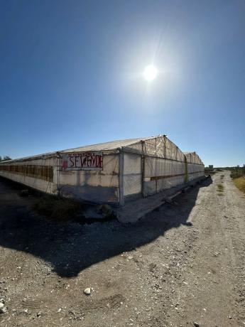 Terreno en Lugar Los Toscanos s/n