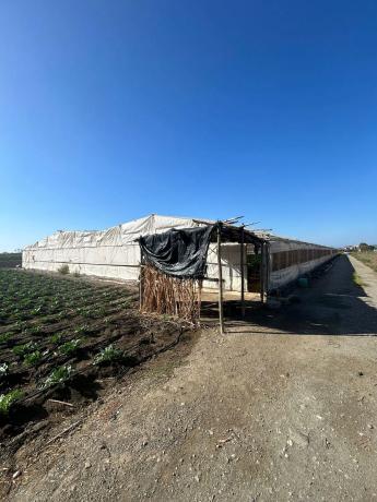 Terreno en Lugar Los Toscanos s/n