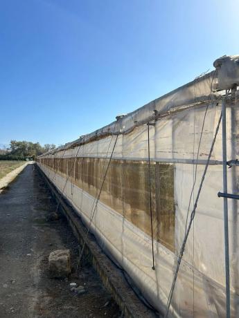 Terreno en Lugar Los Toscanos s/n