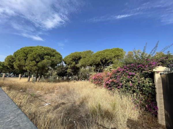 Terreno en avenida Cánovas del Castillo, 2325