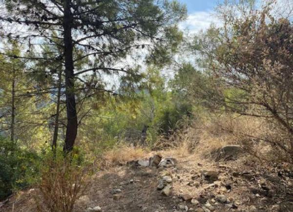 Terreno en calle la Pacheca Alta, 25