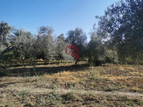 Terreno en carretera de Cártama