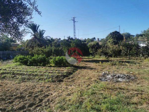 Terreno en carretera de Cártama