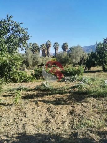 Terreno en carretera de Cártama