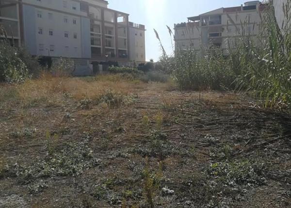 Terreno en calle Pintor Antonio Hidalgo