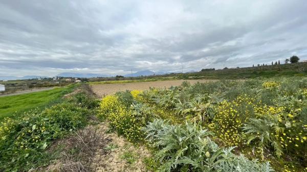 Terreno en carretera de Antequera s/n