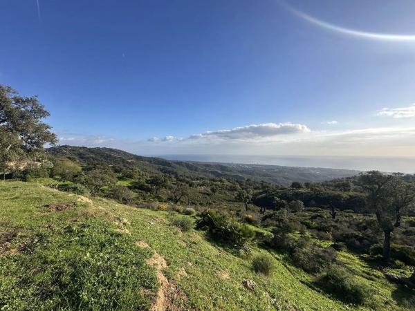 Terreno en Barrio La Puya - La Ermita