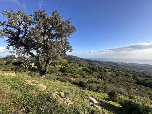 Terreno en Barrio La Puya - La Ermita