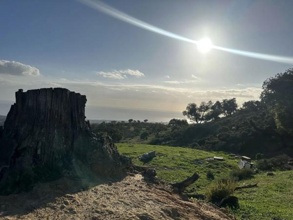 Terreno en Barrio La Puya - La Ermita