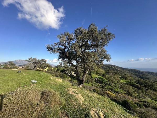 Terreno en Barrio La Puya - La Ermita