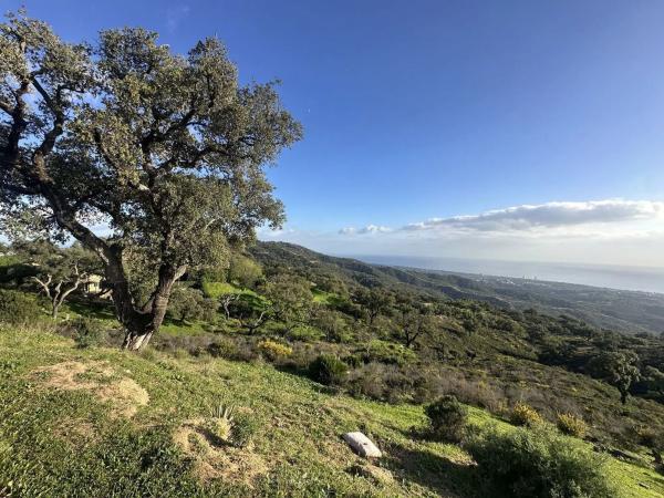 Terreno en Barrio La Puya - La Ermita