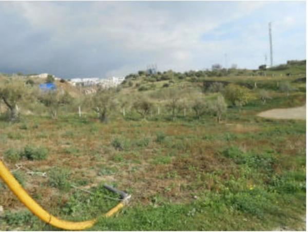 Terreno en Barrio los Catalanes, 55 -c