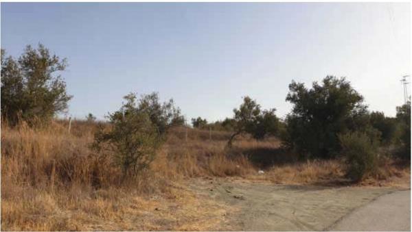 Terreno en Barrio los Catalanes, 55 -c