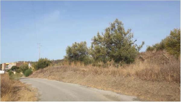 Terreno en Barrio los Catalanes, 55 -c