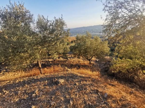 Terreno en Paraje Valdeinfierno s/n