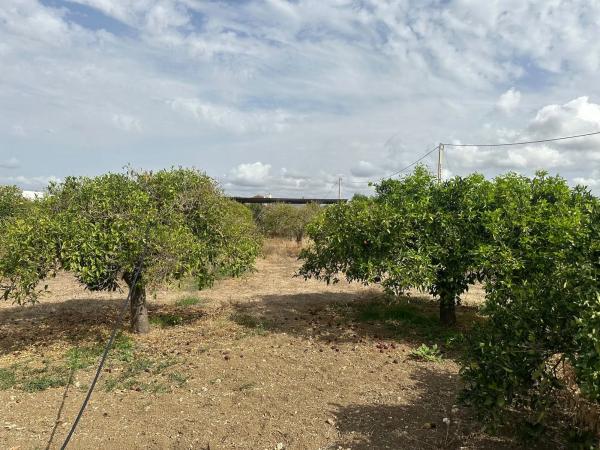 Terreno en camino de la Dehesa Baja s/n