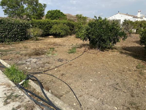 Terreno en camino de la Dehesa Baja s/n