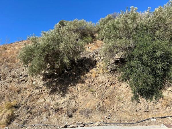 Terreno en calle Platero